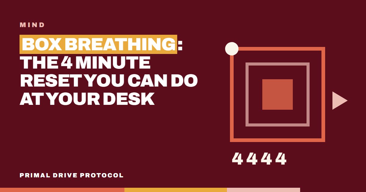 Box Breathing: The 4 Minute Reset You Can Do at Your Desk
