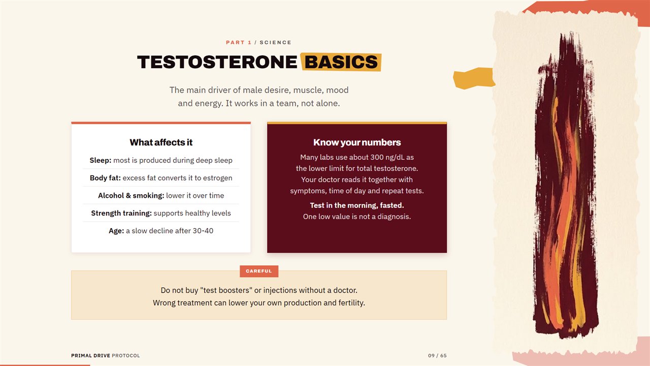 Testosterone basics page from the guide