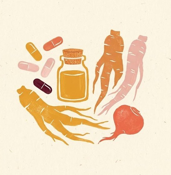 Illustration of supplements and roots